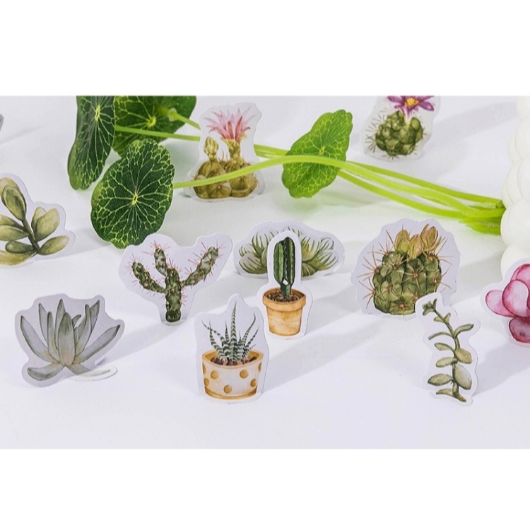 Стікербокс "Succulent Plant Stories" 130 фото