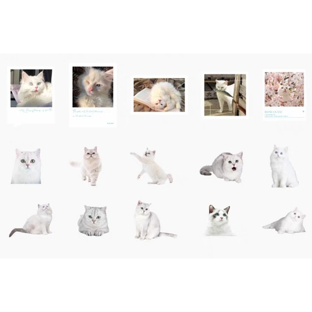 Набір наліпок "Milky White Cute Cat" 2-01761 фото