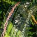 Скотч ПЕТ на прозрачной основе 20 мм х 2 м: Зеленые шипы и листья, Green Thorns