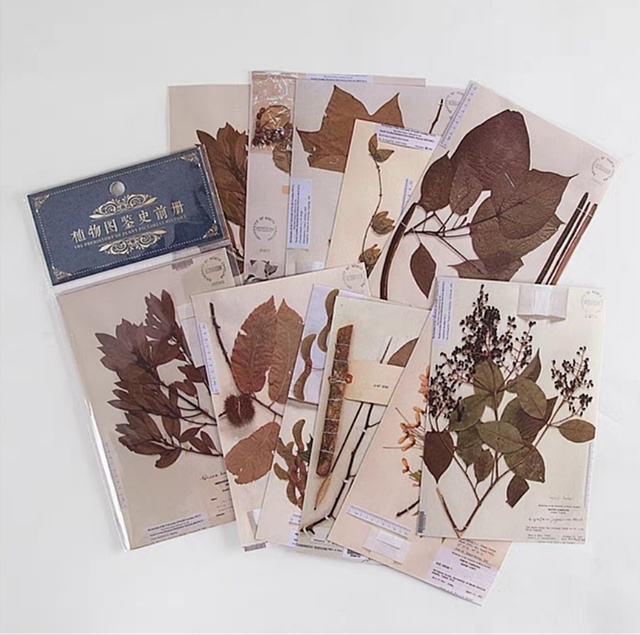 Набор наклеек "Herbarium" 2068 фото