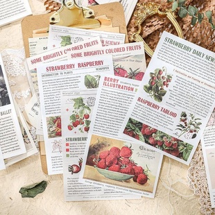 Набори декоративного паперу "Encyclopedia of Berries" 4-0621 фото