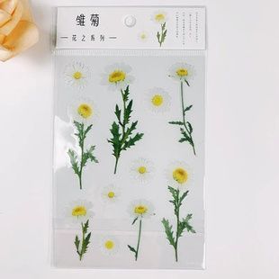 Набор наклеек "Chamomile" 2-01911 фото