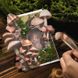 Наборы декоративной бумаги "Mushroom Memory"