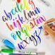 Перманентные кисти Sharpie Brush Tip