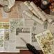 Набор декоративной бумаги "Plant Research"